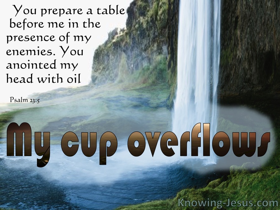 Psalm 23:5 My Cup Overflows (blue)
